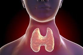 thyroid clinic in ulwe